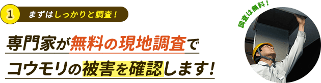 無料の現地調査で被害を確認します