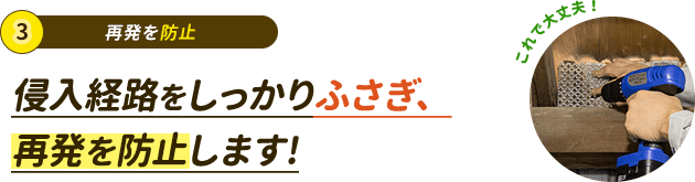 侵入経路をふさぎ、再発を防止します