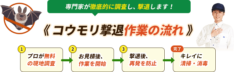 専門家が徹底的に調査し、撃退します!