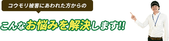コウモリ被害にあわれた方の、こんなお悩みを解決します